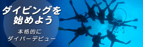 本格的にダイバーデビュー